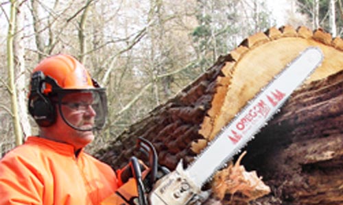 Baumpflege, Fällarbeiten, Grünanlagen Jonas Guckuck - Service für Sie aus Tabarz